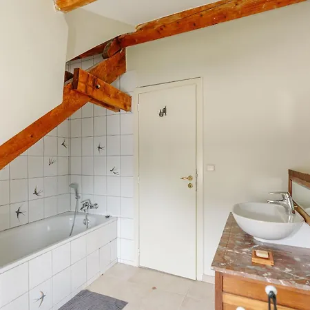 La Ferme D'auwez - Les Hirondelles - 15 Pers Avec Sauna Et Piscine Partages Tatil Evi Ciney