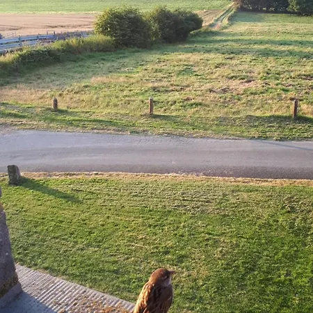 Дом отдыха La Ferme D'auwez - Les Hirondelles - 15 Pers Avec Sauna Et Piscine Partages *
