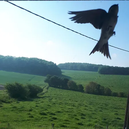 La Ferme D'auwez - Les Hirondelles - 15 Pers Avec Sauna Et Piscine Partages *